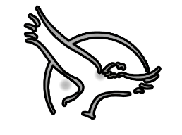 favicon 260x260